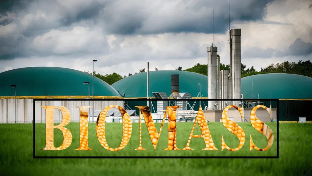 Explore how biomass energy transforms organic waste into power, its global impact, and how CMPES makes it even better for a sustainable tomorrow.